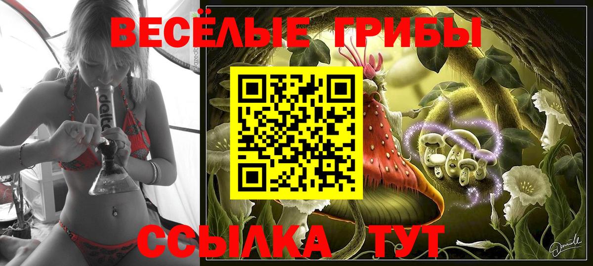 Галлюциногенные грибы мицелий  Псилоцибиновые грибы Psilocybine cubensis  Вход с VPN  Богородицк 